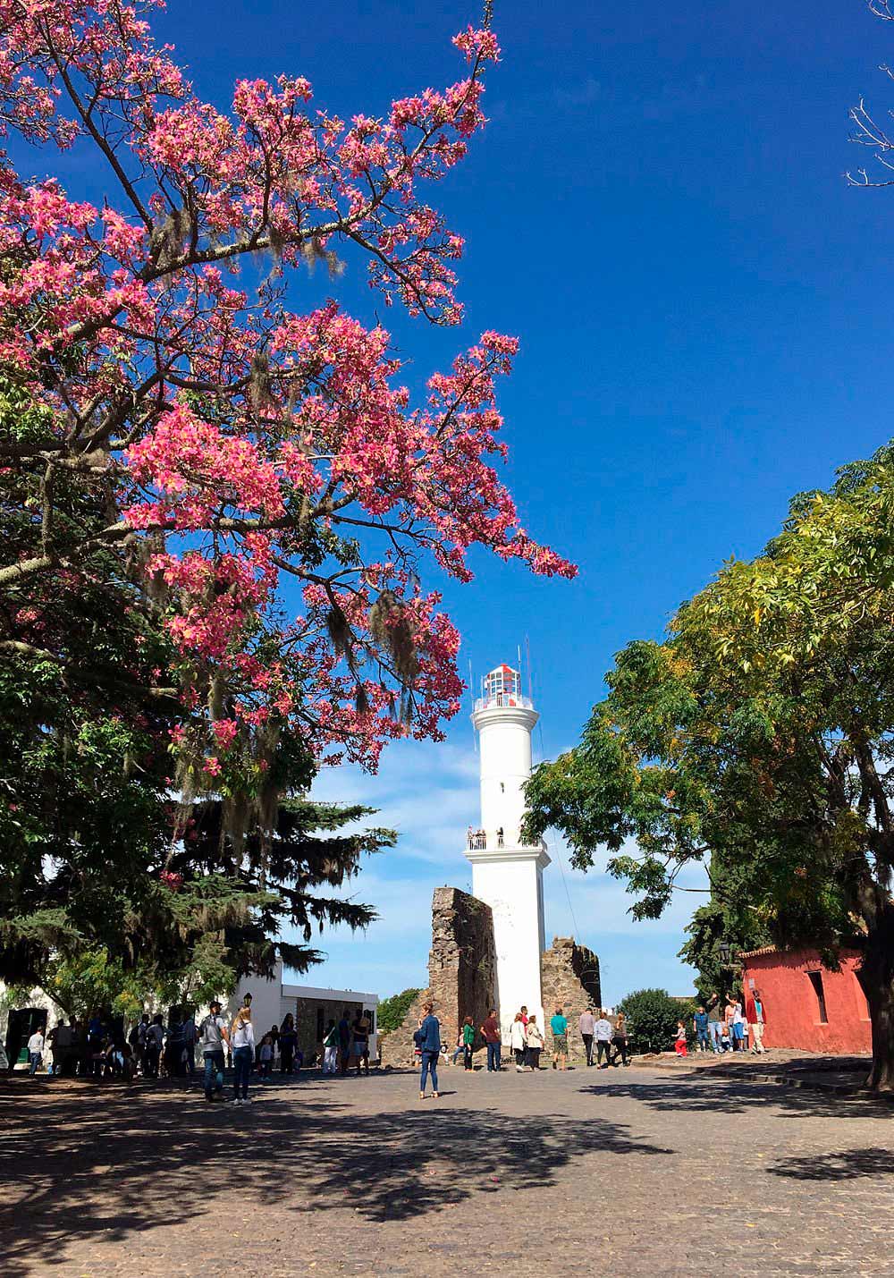 Viví  <span>Colonia</span>