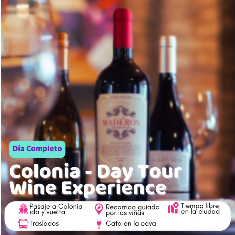 Excursión Día Completo - Colonia Del Sacramento - Day Tour Wine Experience