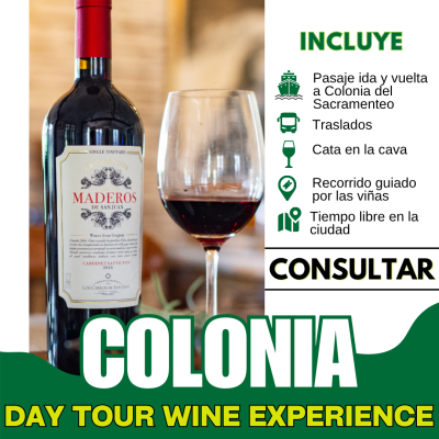 Colonia Del Sacramento - Day Tour Wine Experience