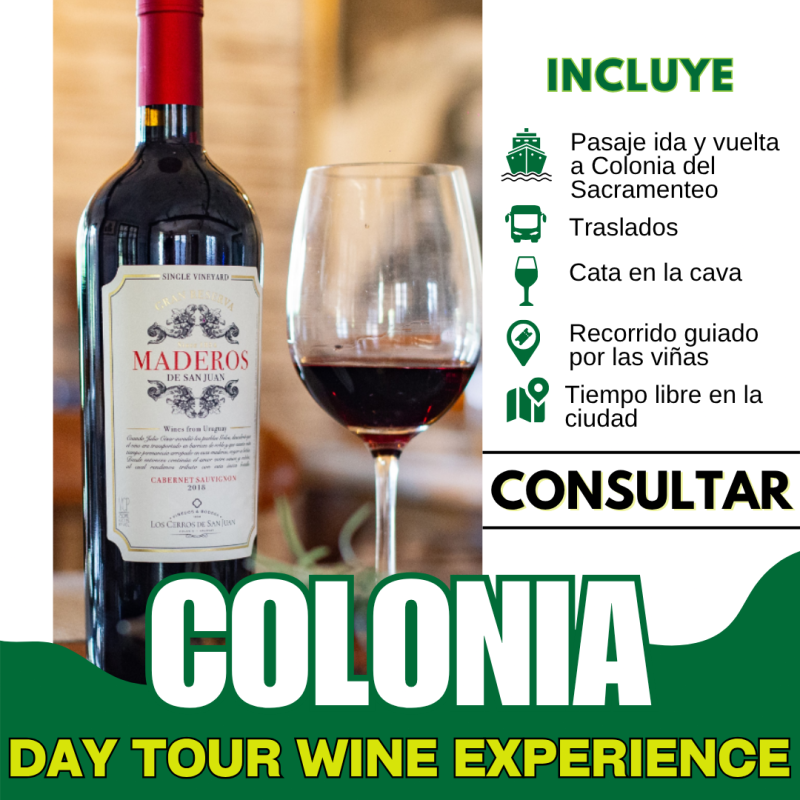 Colonia Del Sacramento - Day Tour Wine Experience