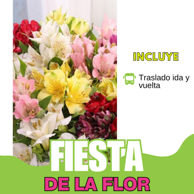 Fiesta De La Flor - Escobar